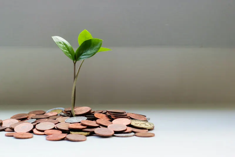 Plant growing from a pile of coins, representing the return on paying for a good accountant